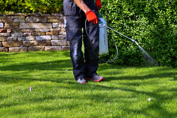 Best Emergency Pest Control  in Grass Valley, CA